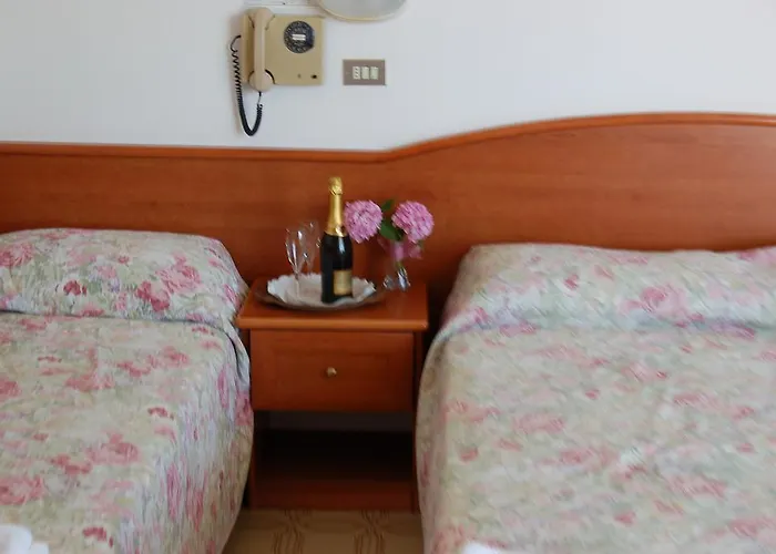 Hotel Hotel Villa Verde San Mauro Mare