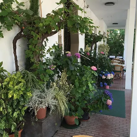 فندق Hotel Villa Verde