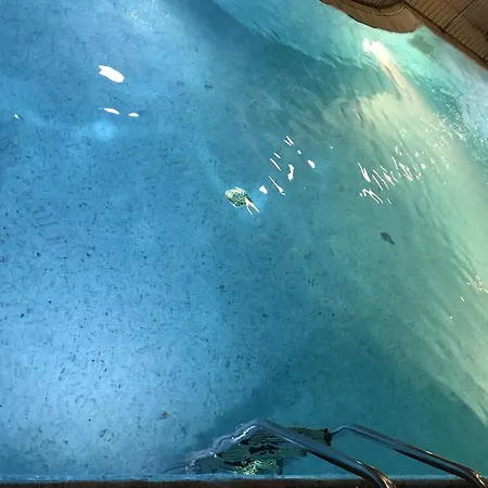 Hotel Hotel Villa Verde 3*