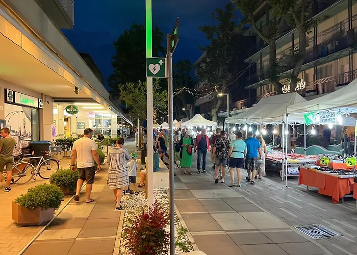 Hotel Hotel Villa Verde 3*